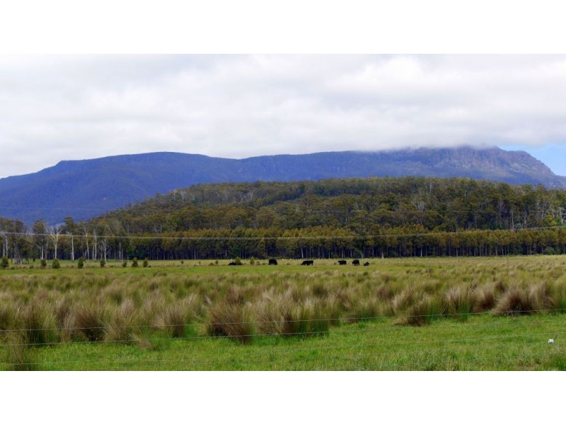 1136 Liffey Road, Liffey TAS 7301