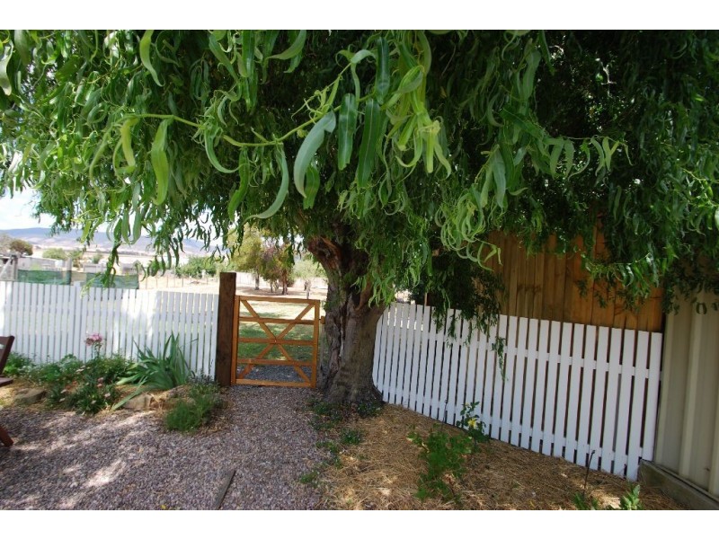 6 Gray Street, Avoca TAS 7213