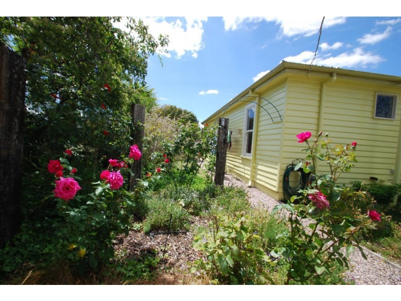 6 Gray Street, Avoca TAS 7213