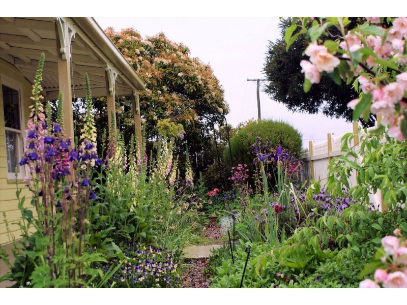 6 Gray Street, Avoca TAS 7213