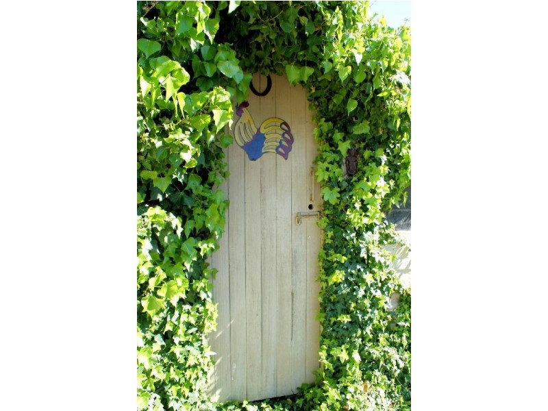 6 Gray Street, Avoca TAS 7213