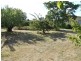 9A Norfolk Street, Perth TAS 7300