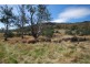 123 Louisa Street, Fingal TAS 7214