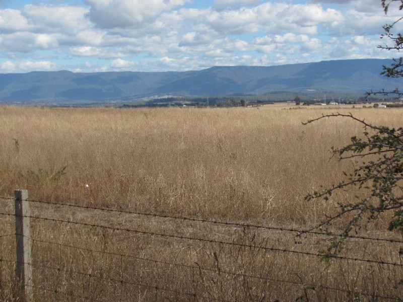 799 Cressy Road, Cressy TAS 7302