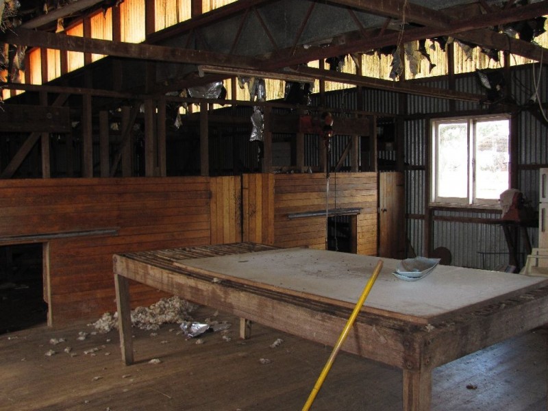 799 Cressy Road, Cressy TAS 7302