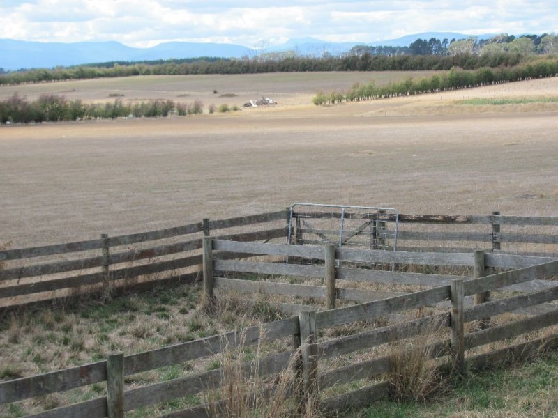 799 Cressy Road, Cressy TAS 7302