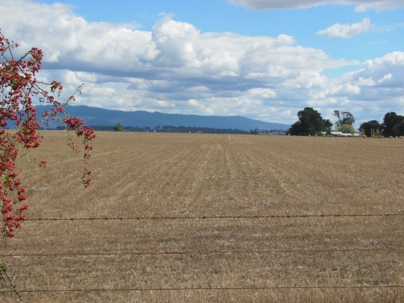 799 Cressy Road, Cressy TAS 7302