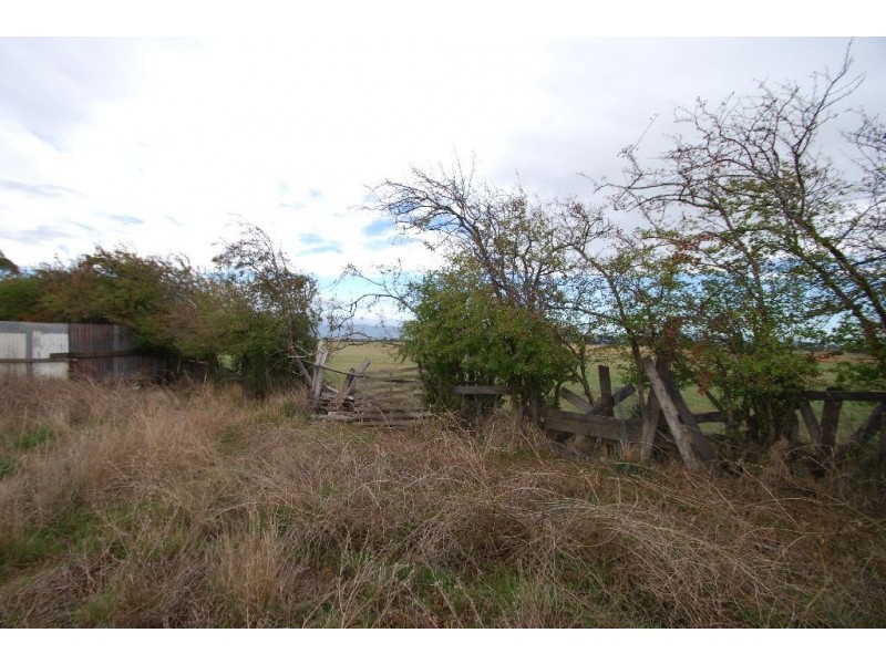 12A King Street, Cressy TAS 7302