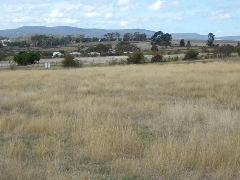 68 Forster Street, Campbell Town TAS 7210