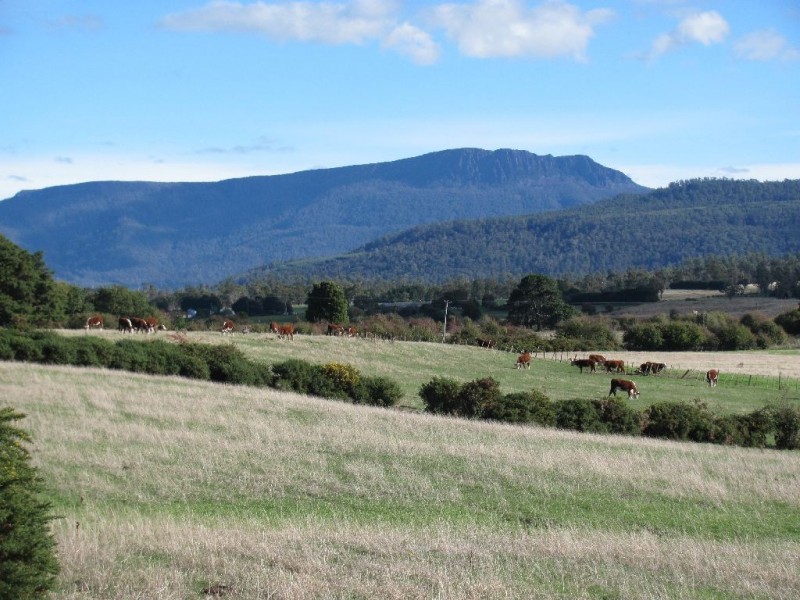 1021 Whitemore Road, Whitemore TAS 7303