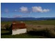 60 Main Street, Cressy TAS 7302