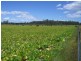 0 Whitemore Road, Carrick TAS 7291