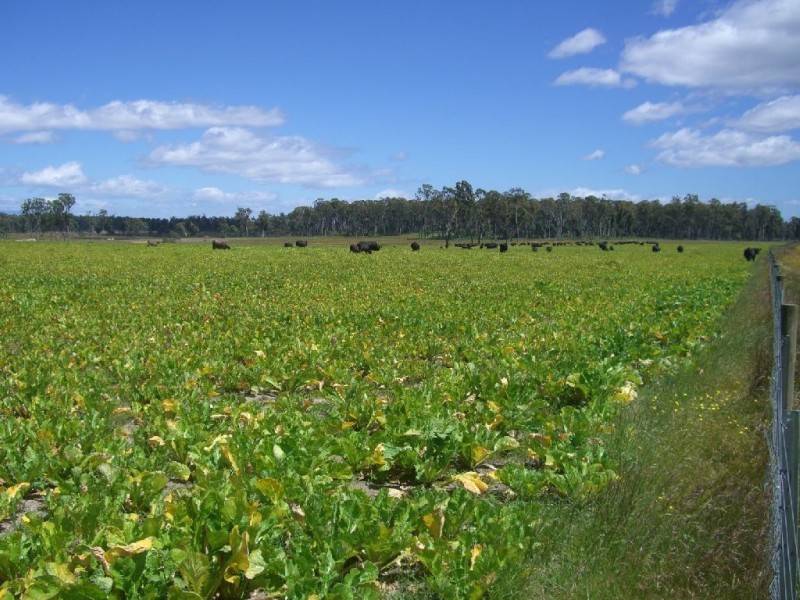 0 Whitemore Road, Carrick TAS 7291