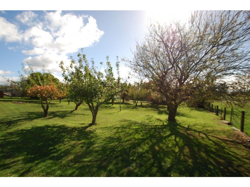 81 Louisa Street, Bracknell TAS 7302