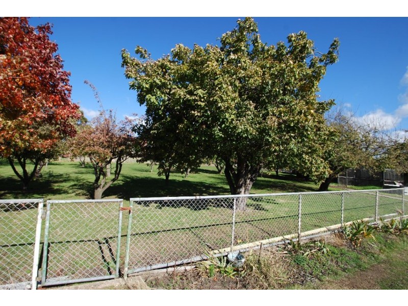 81 Louisa Street, Bracknell TAS 7302