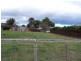 26 Main Street, Cressy TAS 7302