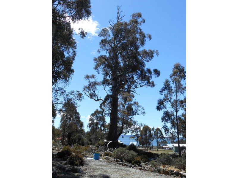 1 Wilburville Road, Arthurs Lake TAS 7030