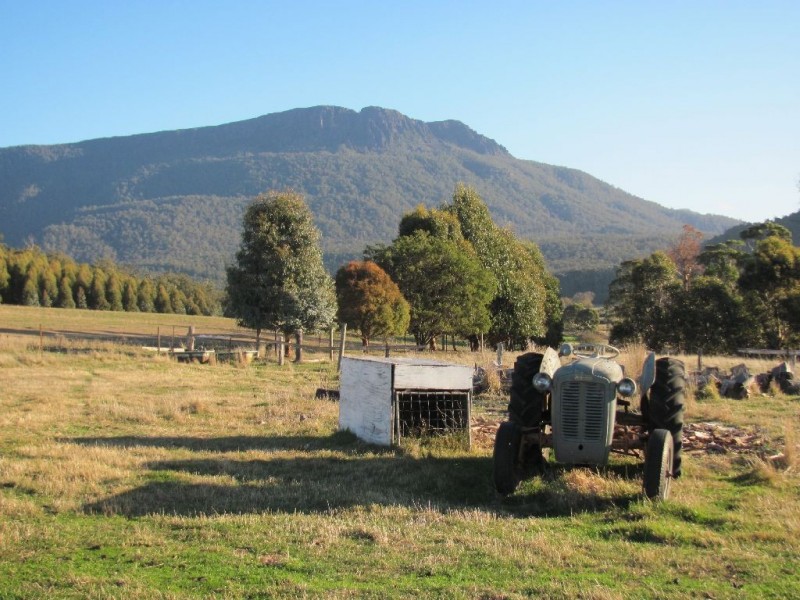 1467 Liffey Road, Liffey TAS 7301