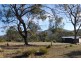 Lot 4 Leona Road, Avoca TAS 7213