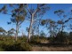 Lot 4 Leona Road, Avoca TAS 7213