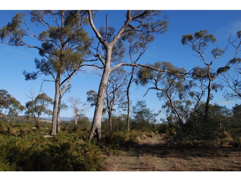 Lot 4 Leona Road, Avoca TAS 7213