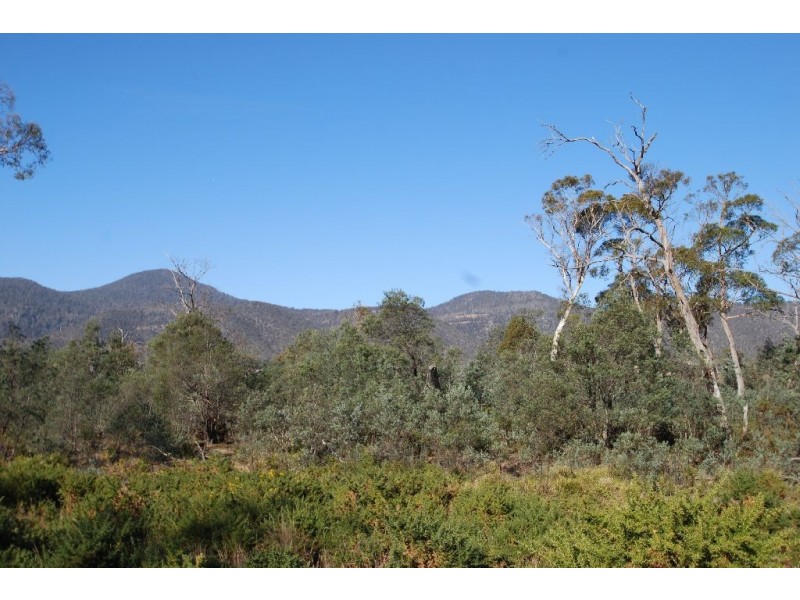 Lot 4 Leona Road, Avoca TAS 7213