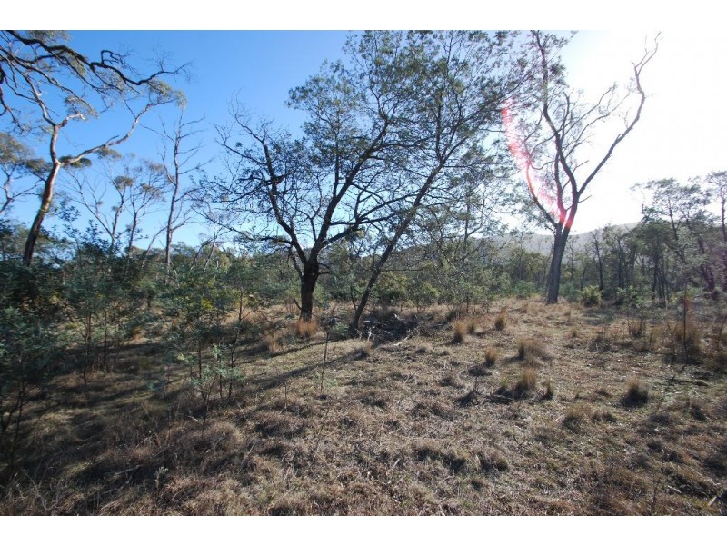 Lot 4 Leona Road, Avoca TAS 7213