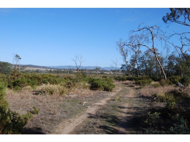 Lot 4 Leona Road, Avoca TAS 7213