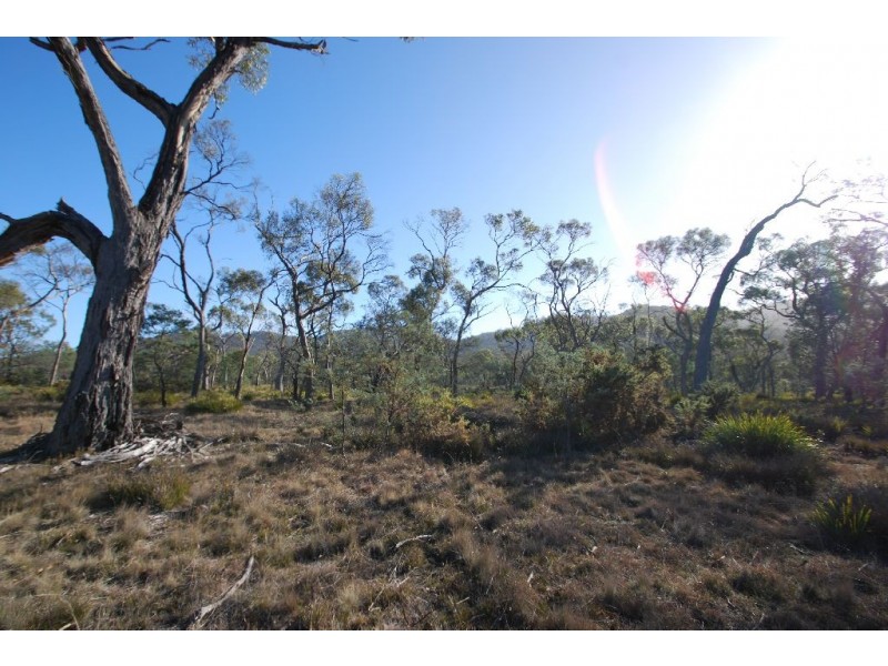 Lot 4 Leona Road, Avoca TAS 7213