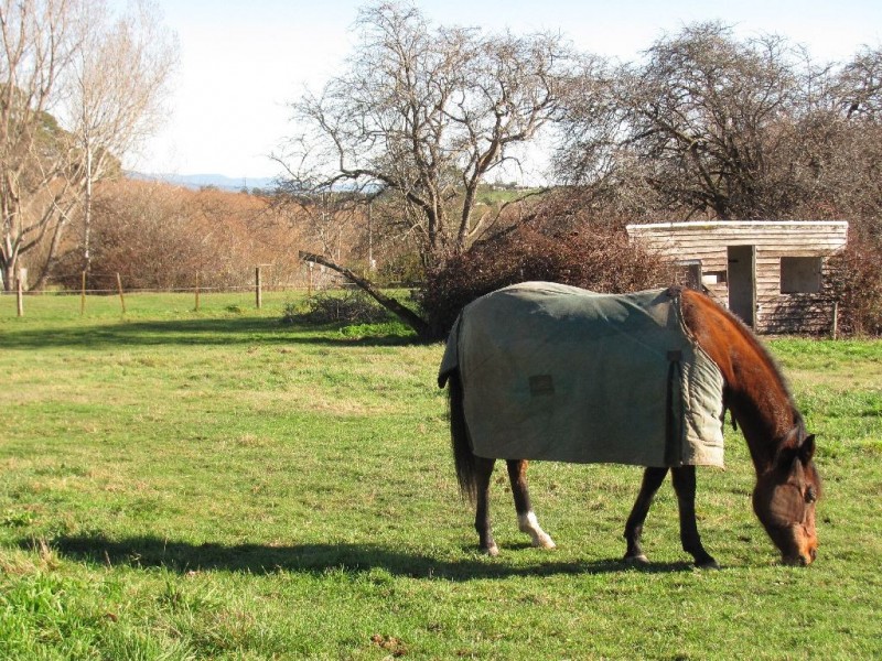 69 Main Street, Hadspen TAS 7290