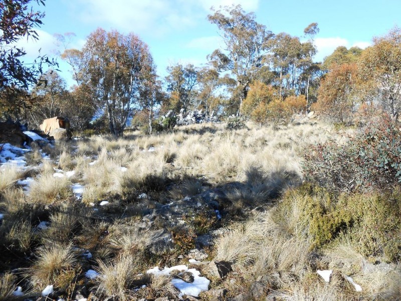 10 Lochiel Drive, Miena TAS 7030