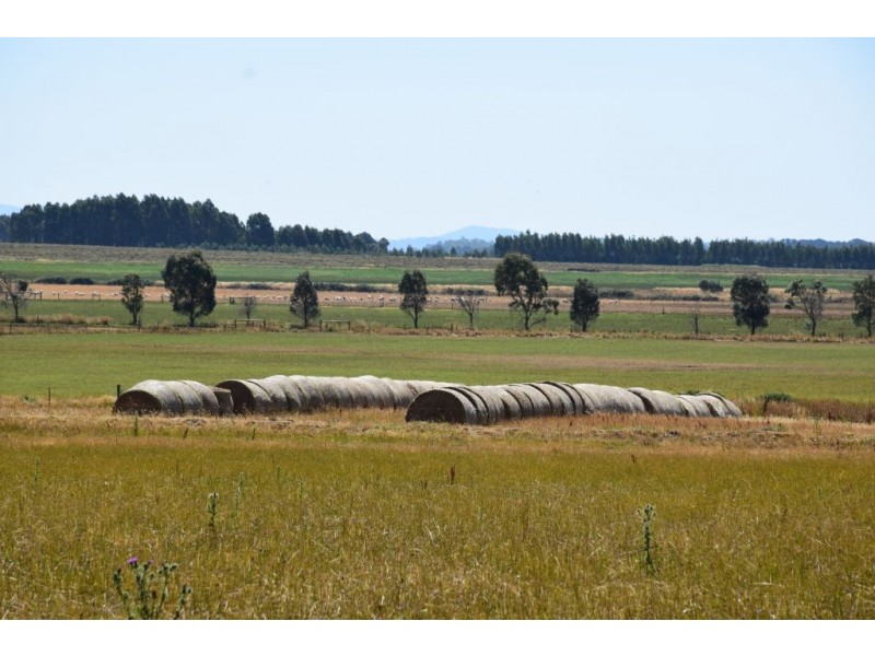 1397 Bishopsbourne Road, Bishopsbourne TAS 7301