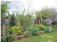 16 Charles Street, Cressy TAS 7302