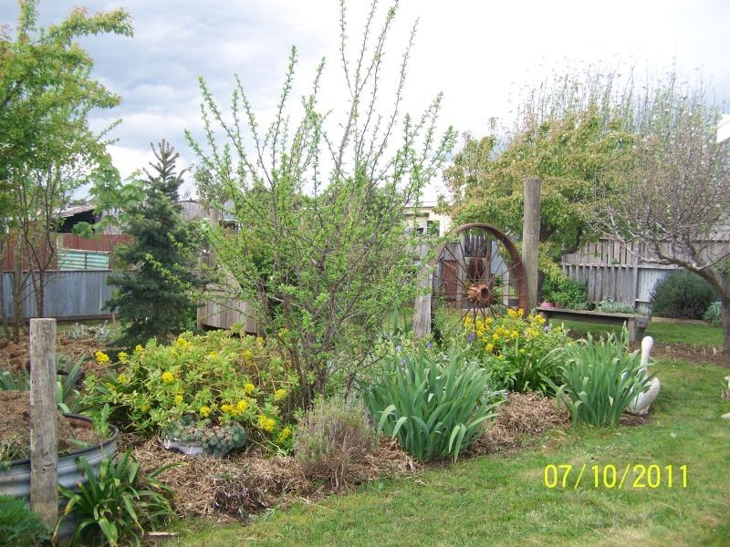 16 Charles Street, Cressy TAS 7302