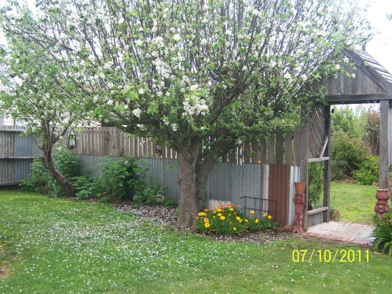 16 Charles Street, Cressy TAS 7302