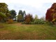 241 Cotton Street, Longford TAS 7301