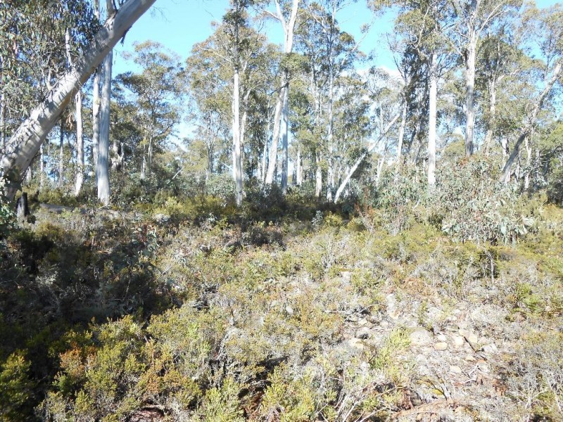 Lot 54 Wigrams Way, London Lakes TAS 7140