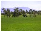 241 Cotton Street (fronts Cressy Rd), Longford TAS 7301