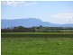 241 Cotton Street (fronts Cressy Rd), Longford TAS 7301