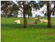 241 Cotton Street (fronts Cressy Rd), Longford TAS 7301