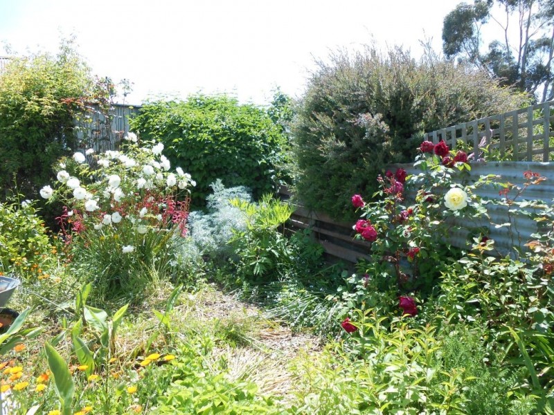 66 Louisa Street, Bracknell TAS 7302