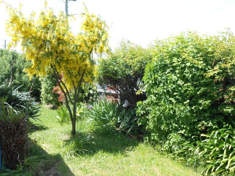 66 Louisa Street, Bracknell TAS 7302