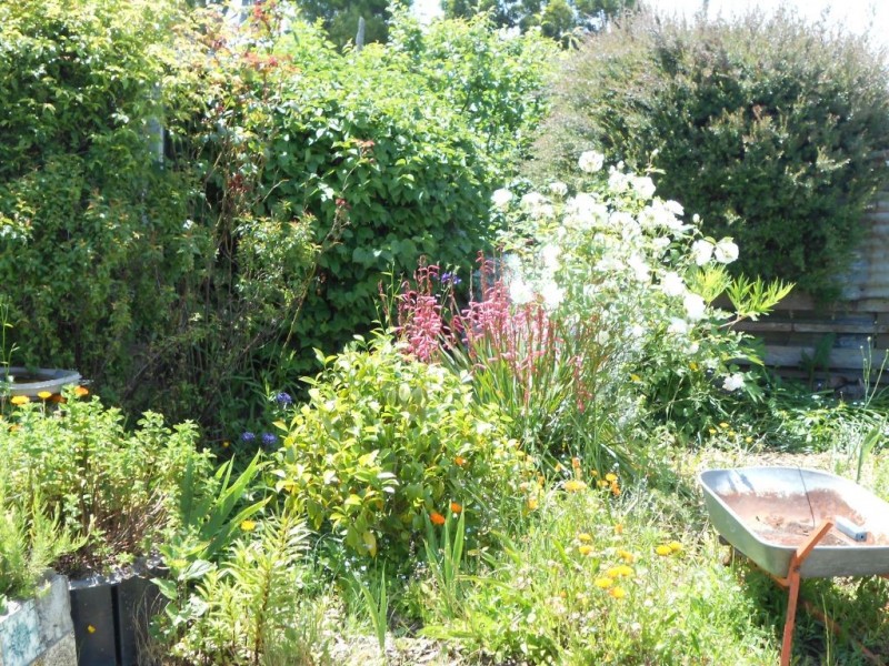 66 Louisa Street, Bracknell TAS 7302