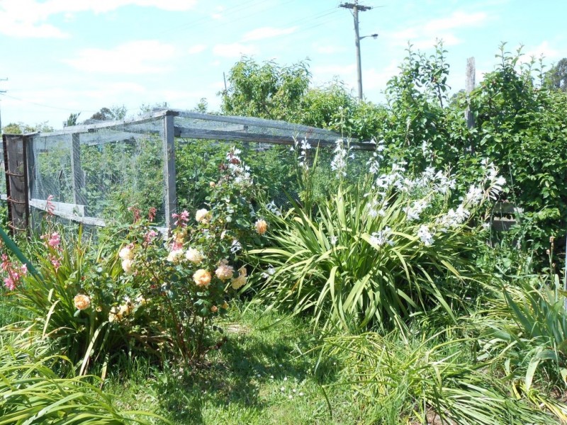 66 Louisa Street, Bracknell TAS 7302