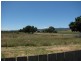 2 East Street, Campbell Town TAS 7210