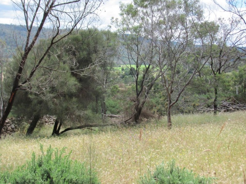 3/942 Deddington Road, Deddington TAS 7212