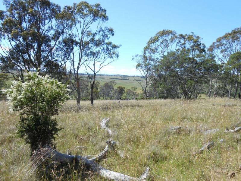 220A Norwich Drive, Longford TAS 7301