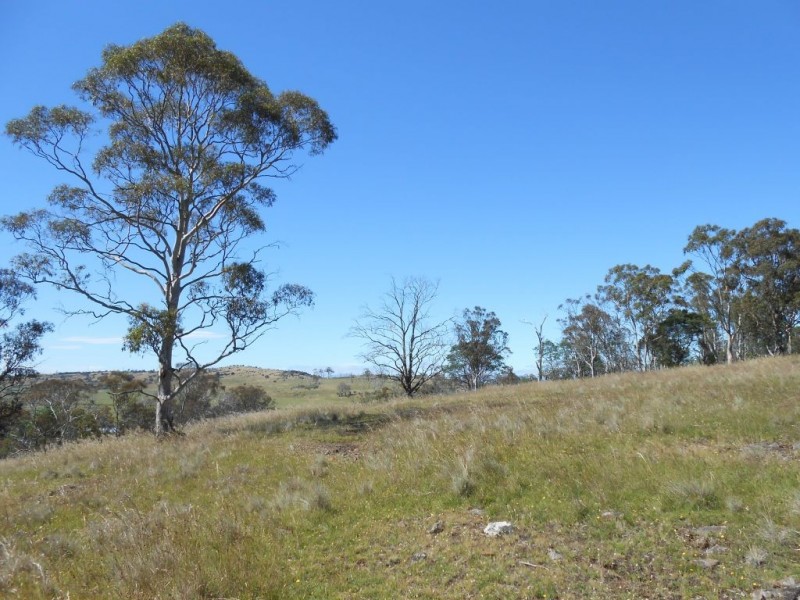 220A Norwich Drive, Longford TAS 7301