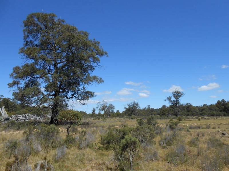 Lot 2 Arthurs Lake Road, Arthurs Lake TAS 7030