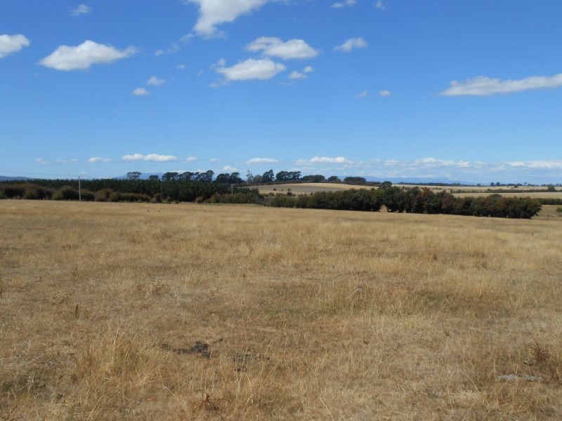 417 Blackhills Road, Westbury TAS 7303